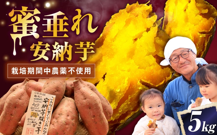 さつまいも サツマイモ さつま芋 焼き芋 やきいも スイーツ 甘い とろとろ 薩摩芋 デザート 甘芋 スイートポテト 芋 イモ