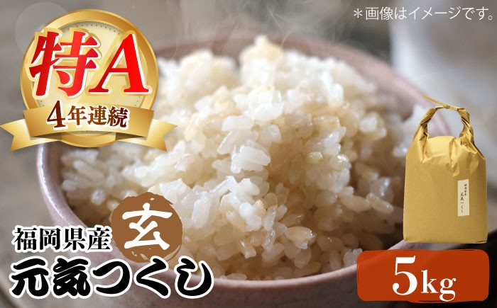 米 特A 玄米 ご飯 ごはん こめ コメ おにぎり 新鮮 国産 九州 九州産 福岡県産 元気つくし