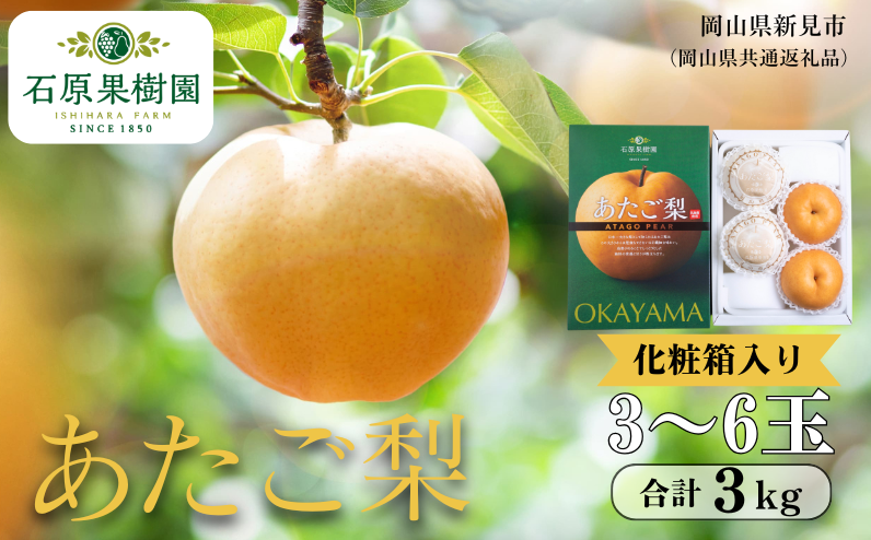 季節の味覚をお楽しみください。