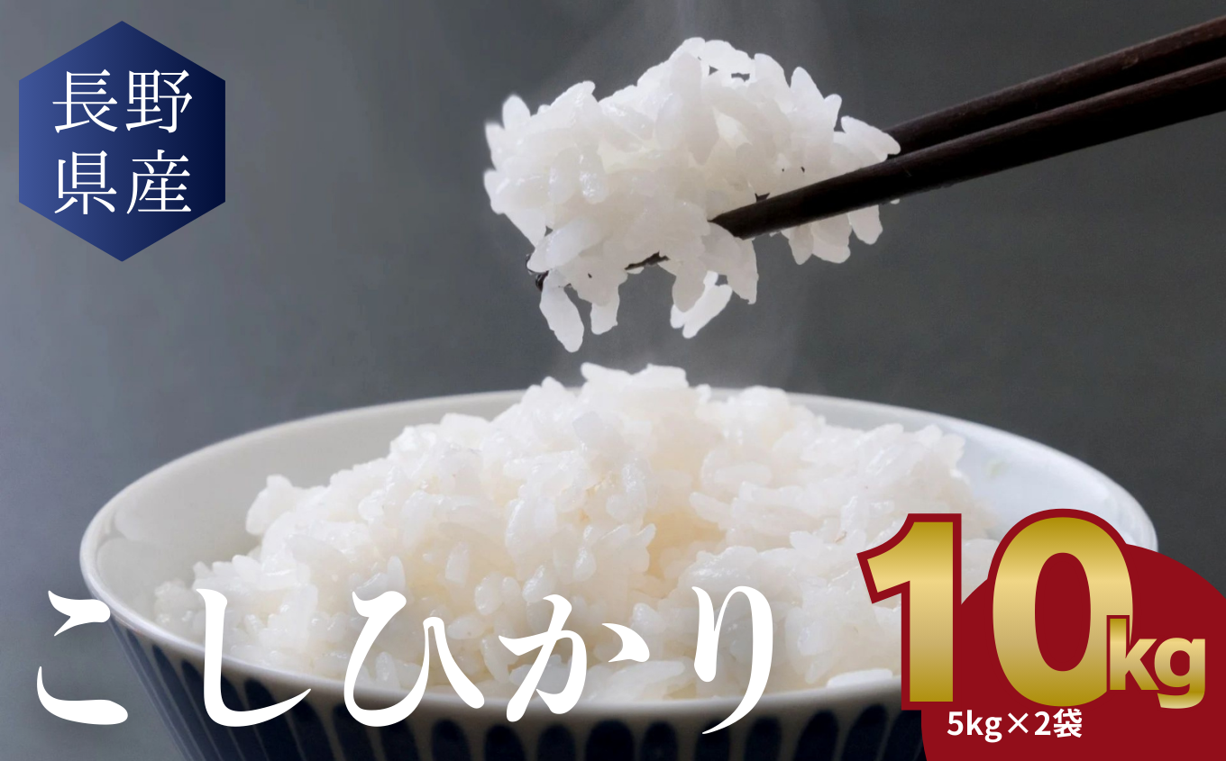 信州米 こしひかり 白米
