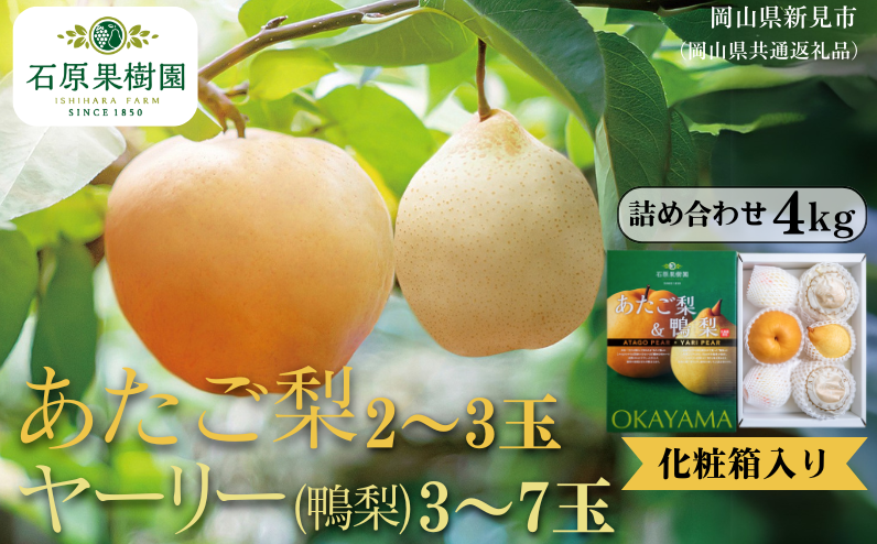 季節の味覚をお楽しみください。