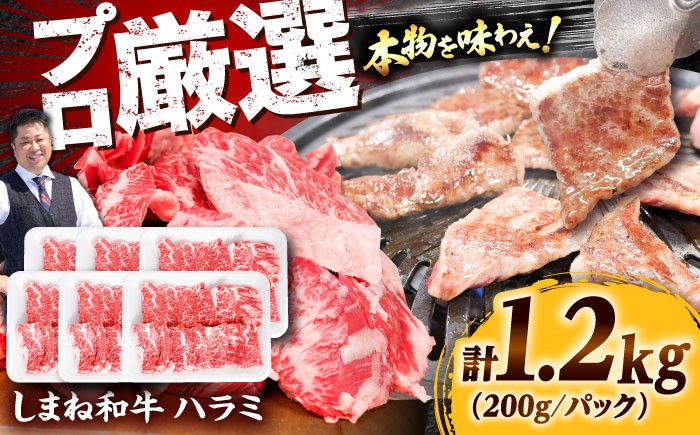 肉 お肉 おすすめ 国産牛 牛肉 お歳暮 お中元 年末年始 お正月 焼肉 ヘルシー 健康志向 大容量