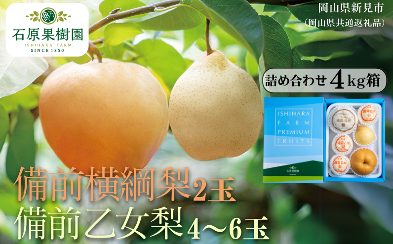 季節の味覚をお楽しみください。