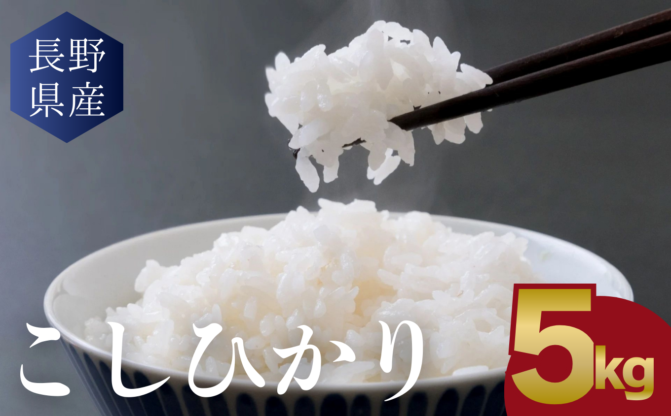 信州米 こしひかり 白米