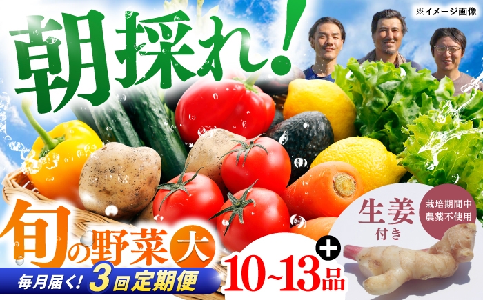 【3回定期便】土佐の太陽をいっぱいに浴びた旬の野菜と生姜約100gのセット「大」 (3回配送)【土佐野菜】 [ATBA014]