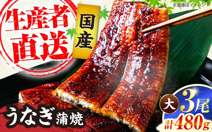 うなぎ 鰻 国産 福岡県産 蒲焼 かば焼き 土用 丑の日 ギフト 贈答