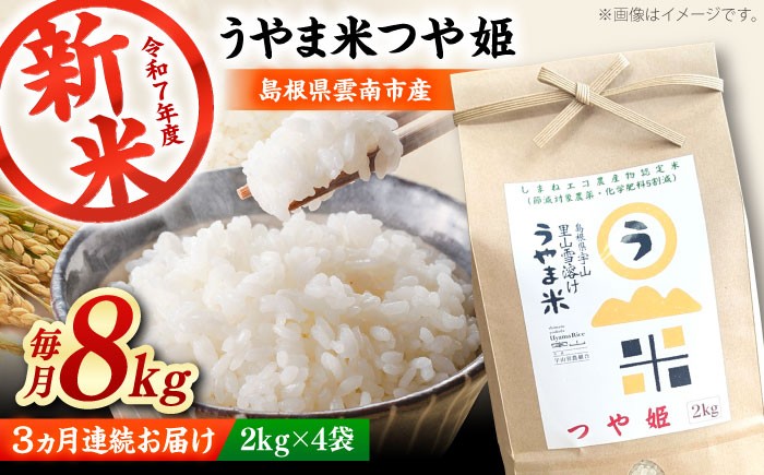 コメ つや姫 白米 8キロ 定期便
