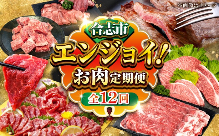 全12回 合志市お肉エンジョイ定期便