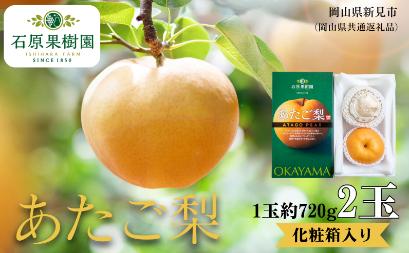 季節の味覚をお楽しみください。