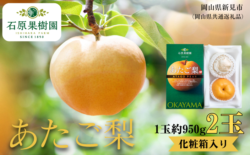 季節の味覚をお楽しみください。