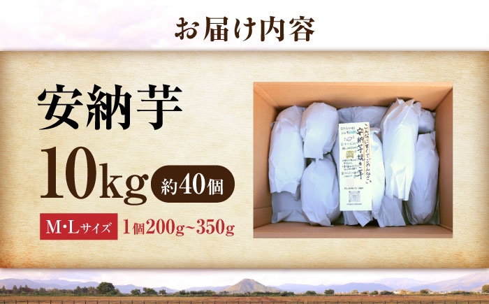 さつまいも サツマイモ さつま芋 焼き芋 やきいも スイーツ 甘い とろとろ 薩摩芋 デザート 甘芋 スイートポテト 芋 イモ