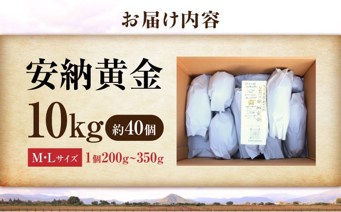 さつまいも サツマイモ さつま芋 焼き芋 やきいも スイーツ 甘い とろとろ 薩摩芋 デザート 甘芋 スイートポテト 芋 イモ
