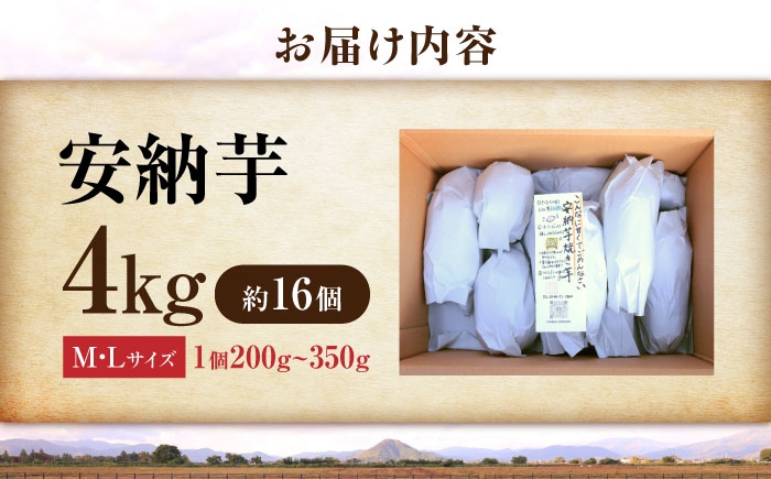 さつまいも サツマイモ さつま芋 焼き芋 やきいも スイーツ 甘い とろとろ 薩摩芋 デザート 甘芋 スイートポテト 芋 イモ