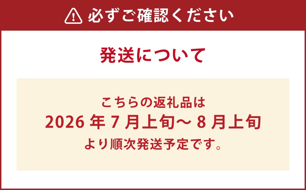 朝採りとうもろこし 恵味ゴールド 10本入り