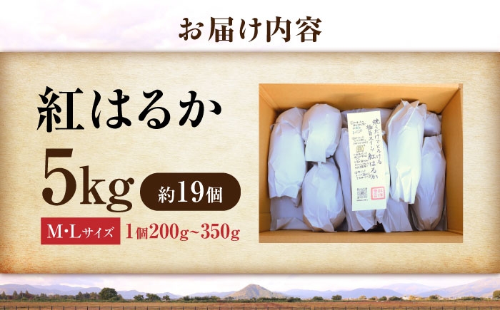 紅はるか べにはるか さつまいも サツマイモ さつま芋 焼き芋 べにはるか ベニハルカ おやつ 煮物 芋ごはん 味噌汁 芋 生芋