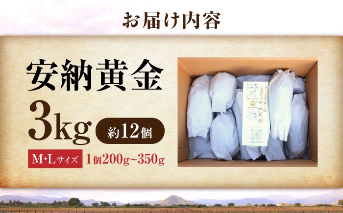 さつまいも サツマイモ さつま芋 焼き芋 やきいも スイーツ 甘い とろとろ 薩摩芋 デザート 甘芋 スイートポテト 芋 イモ