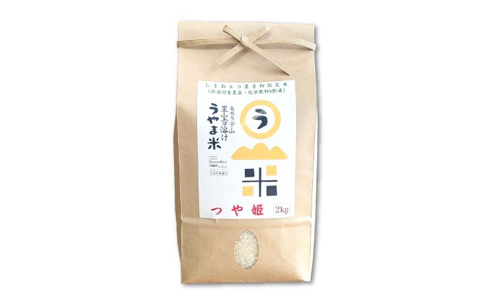 無洗米 米 コメ つや姫 白米 10キロ 定期便