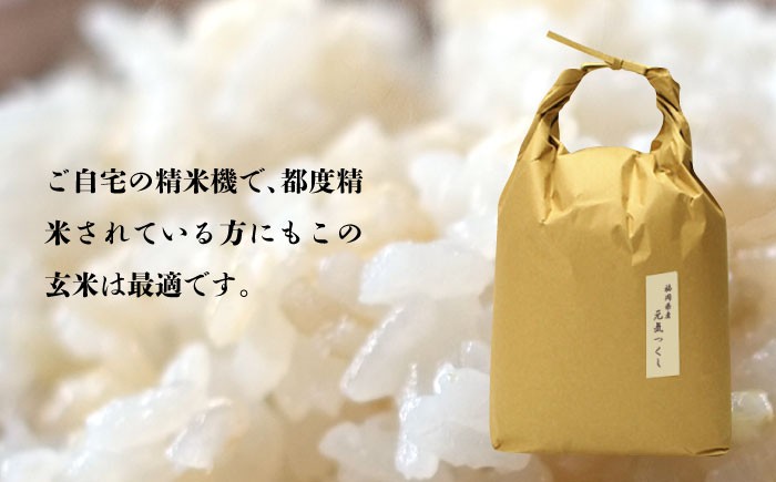 米 特A 玄米 ご飯 ごはん こめ コメ おにぎり 新鮮 国産 九州 九州産 福岡県産 元気つくし