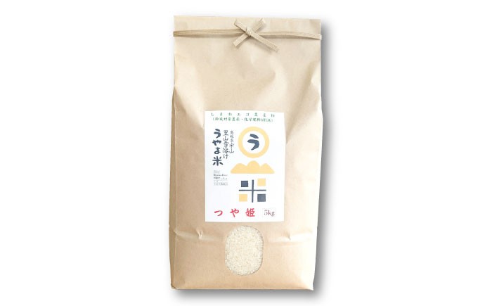 無洗米 コメ つや姫 白米 5キロ