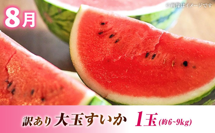  全5回 果物ざんまい定期便