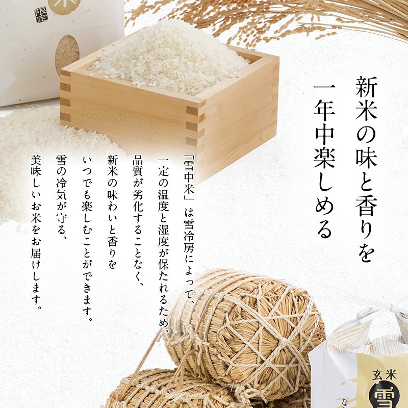 令和7年産 特Aランク米 ななつぼし 玄米 5kg（5kg×1袋）雪冷気 籾貯蔵 雪中米 北海道