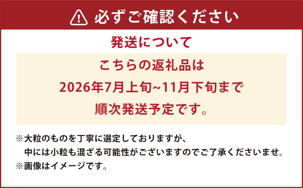 熊本県産 大粒 冷凍 ブルーベリー 1kg（500g×2パック）