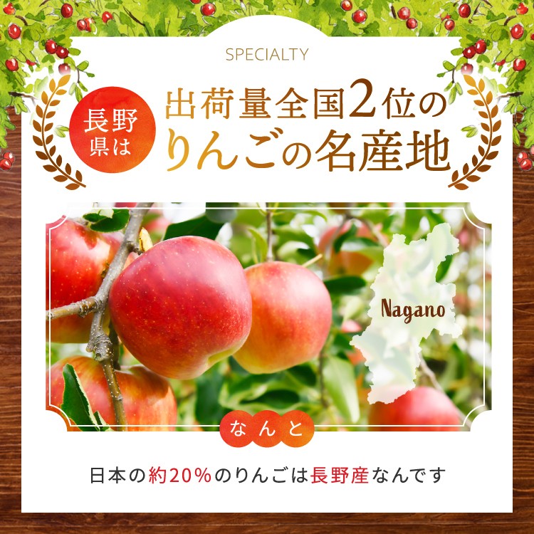信州産りんご【品種おまかせ】　約3kg (8～12玉)