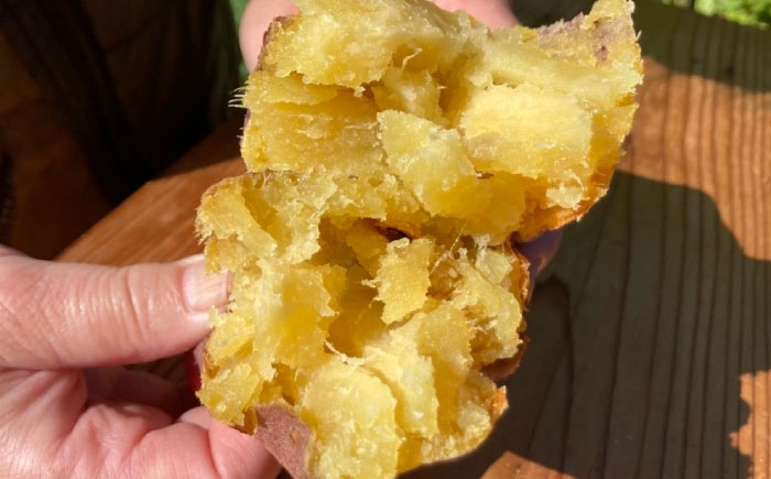 さつまいも サツマイモ さつま芋 焼き芋 やきいも スイーツ 甘い とろとろ 薩摩芋 デザート 甘芋 スイートポテト 芋 イモ