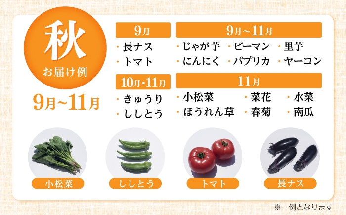 【24回定期便・月2回配送】 土佐の太陽をいっぱいに浴びた旬の野菜10〜13品目と生姜約100g