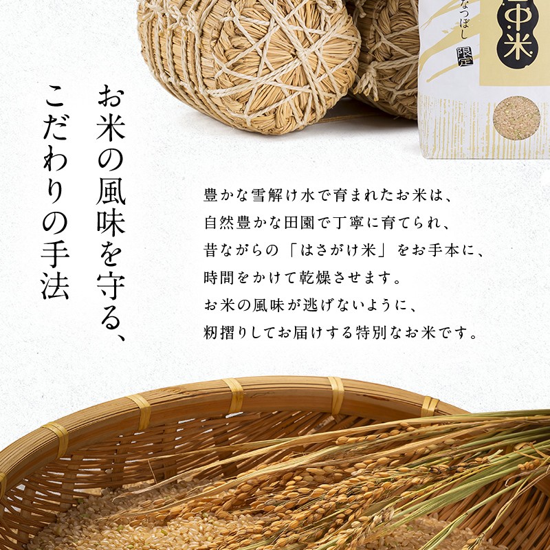 令和7年産 特Aランク米 ななつぼし 精米 10kg（5kg×2袋）雪冷気 籾貯蔵 雪中米 北海道