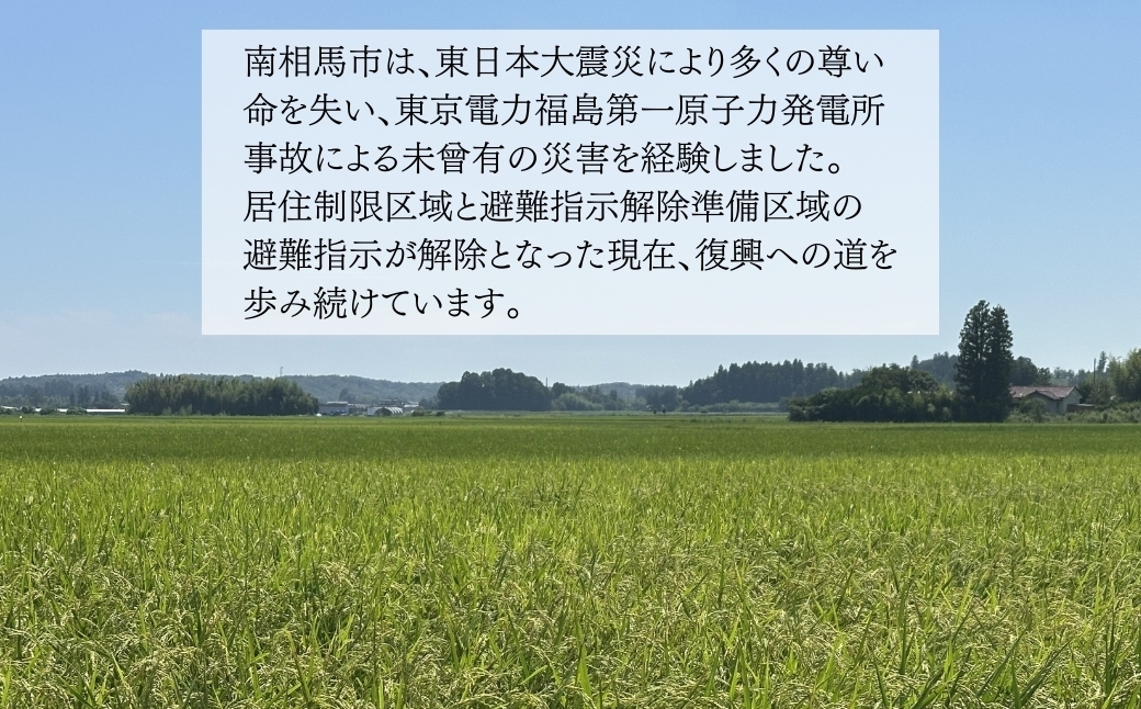 【令和7年産】南相馬・根本有機農園のJAS有機米天のつぶ10kg（白米）
