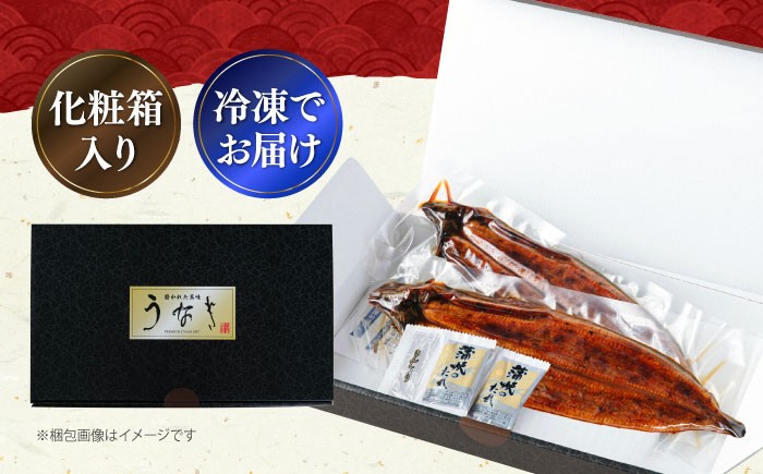 うなぎ 鰻 国産 福岡県産 蒲焼 かば焼き 土用 丑の日 ギフト 贈答