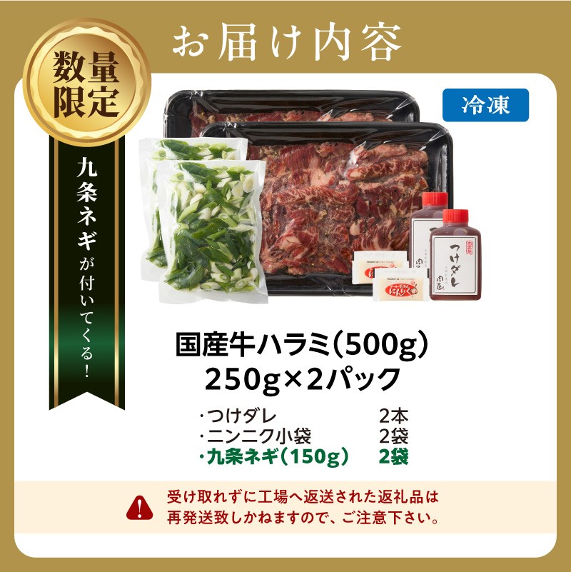 今だけ数量限定！九条ネギ付き！貴重！肉汁溢れる 国産牛ハラミ 500g