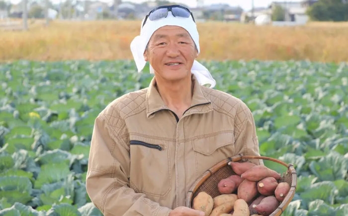さつまいも サツマイモ さつま芋 焼き芋 やきいも スイーツ 甘い とろとろ 薩摩芋 デザート 甘芋 スイートポテト 芋 イモ
