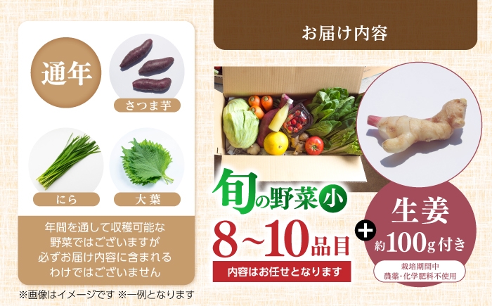 土佐の太陽をいっぱいに浴びた旬の野菜生姜約100gのセット「小」【土佐野菜】 [ATBA003]