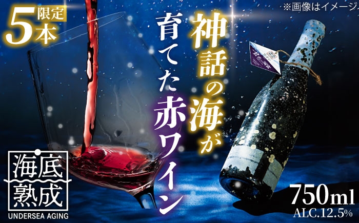 熟成ワイン wine 島根 日本海 海底貯蔵 酒 島根ワイン 海 おさけ わいん