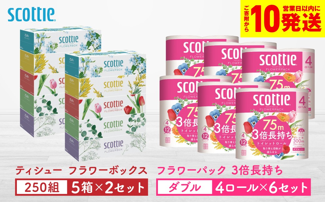 「長持ち」＆「コンパクト」になったスコッティ製品をセットにしてお届け！