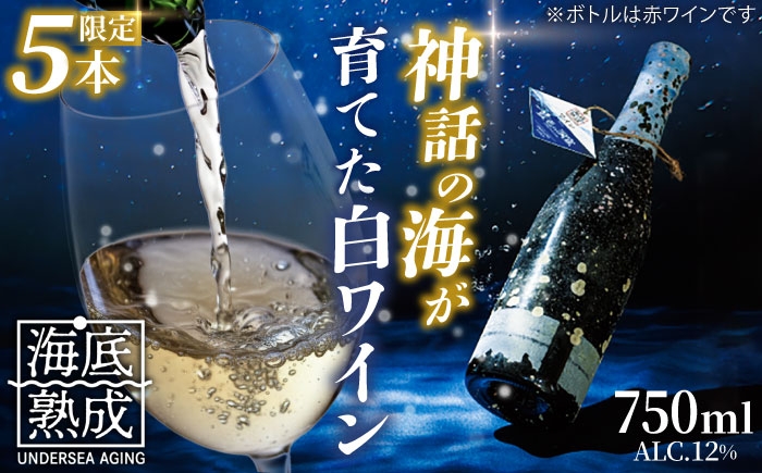 熟成ワイン wine 島根 日本海 海底貯蔵 酒 島根ワイン 海 おさけ わいん