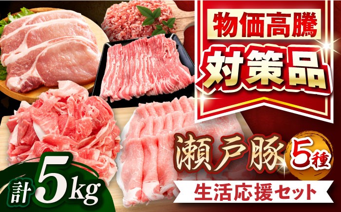 豚肉 小分け ミンチ 切り落とし バラ肉 豚ロース しゃぶしゃぶ用 バラスライス とんかつ 豚ミンチ 豚肉セット 小分け