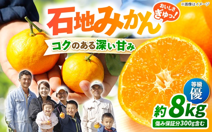 石地みかん ミカン 蜜柑 柑橘 フルーツ ふるーつ 果物 長崎県 西海市