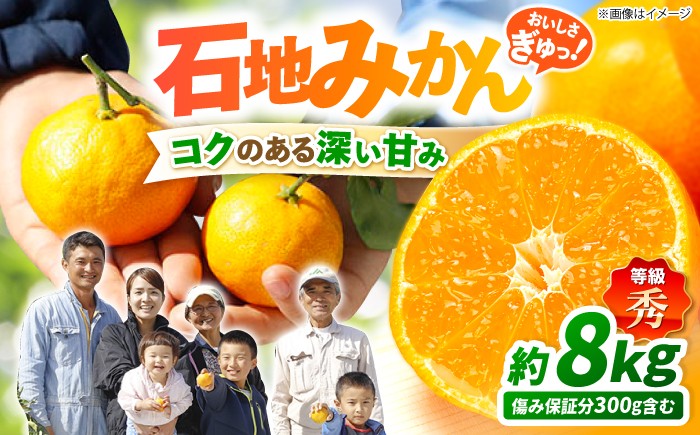 みかん 石地みかん 