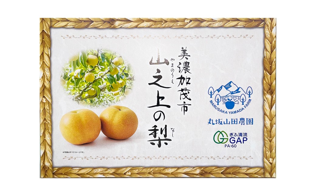 ｢丸坂山田農園｣山之上梨 長寿 1箱 （ 約2.5kg ／ 5～8玉 ）