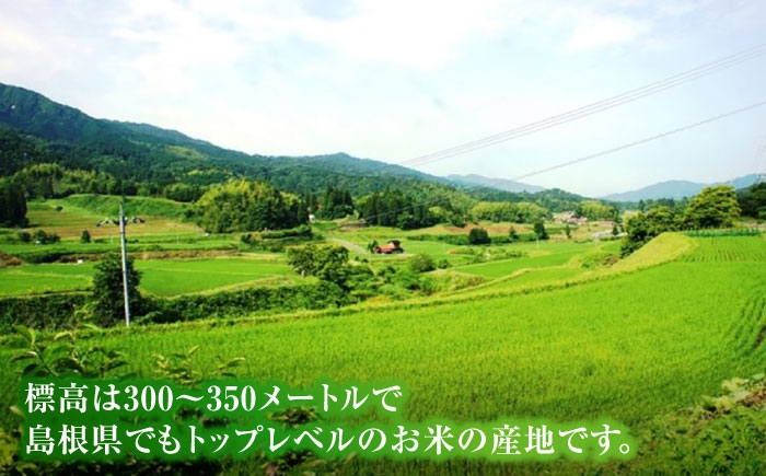 米 おこめ ごはん ご飯 炊き込み 飯 食卓 おにぎり 白米 お米 きぬむすめ