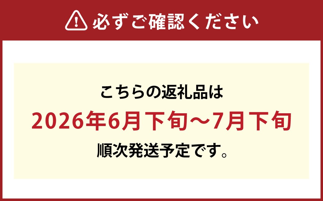 岡山匠の白桃 約1.5kg 5～6玉 ギフト