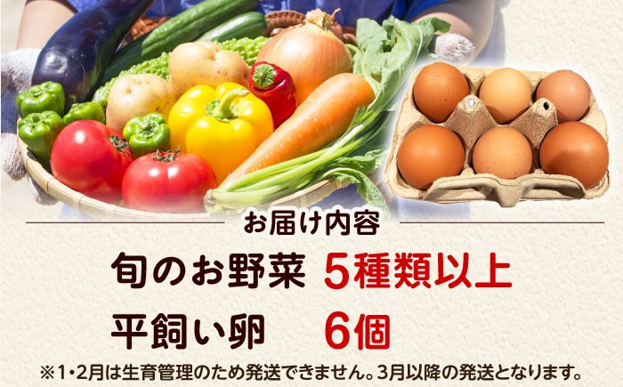 朝のTVで紹介 旬の野菜セット 新鮮野菜 産地直送 卵 たまご 平飼い卵 やさいセット 家庭用