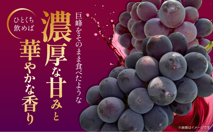 ブドウジュース ジュース ぶどう ブドウ 果実飲料 ストレート ストレートジュース 巨峰 果物 アイス フローズン