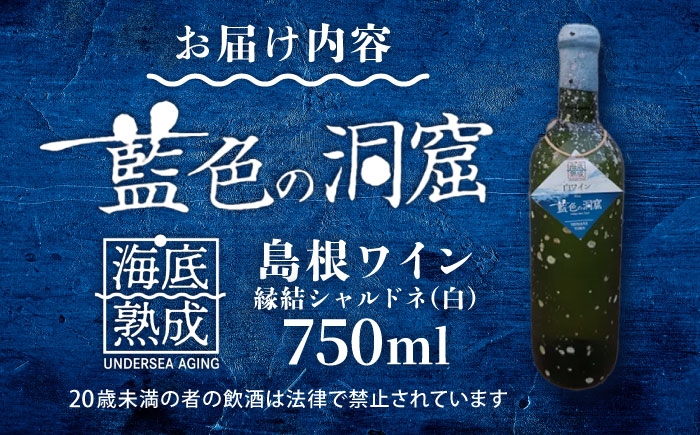熟成ワイン wine 島根 日本海 海底貯蔵 酒 島根ワイン 海 おさけ わいん