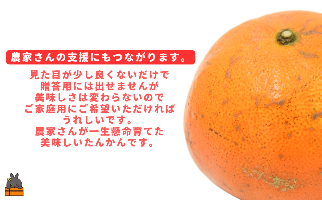 正直、贈答用には向きませんが、見た目が良くないだけで、とっても美味しいたんかんなんです。