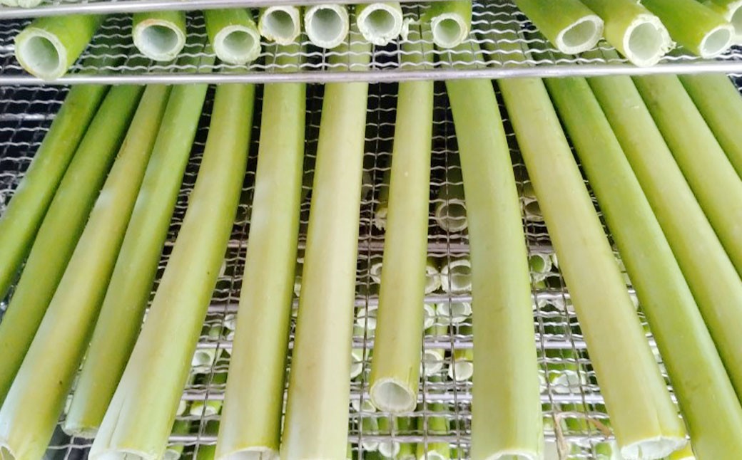 乾燥パパイヤの茎 50g（約20本-30本）×6セット 