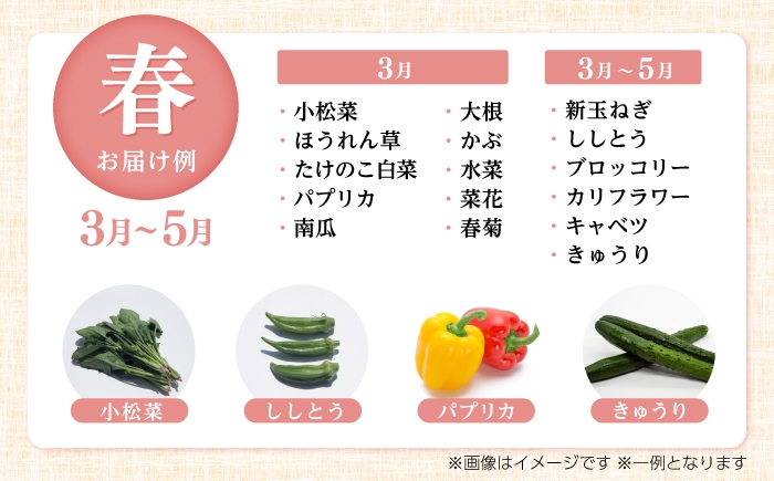 【3回定期便】 土佐の太陽をいっぱいに浴びた旬の野菜セット「大」 (3回配送)【土佐野菜】[ATBA008]